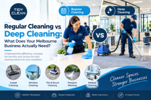 Regular Cleaning vs Deep Cleaning